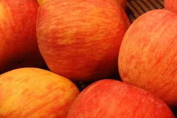 六盘水营养师培训费用要多少 - 培训机构哪家好？