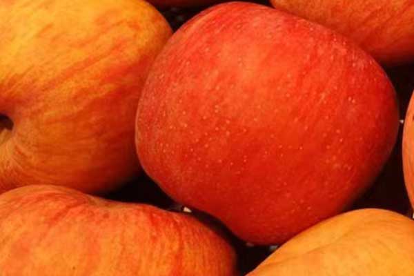 昆明营养师培训费用要多少 - 培训机构哪家好？