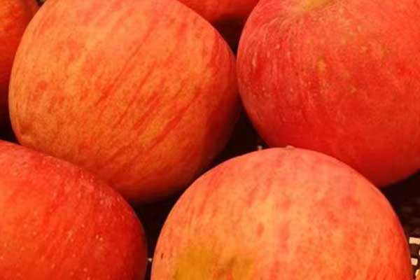 昭通营养师培训费用要多少 - 培训机构哪家好？