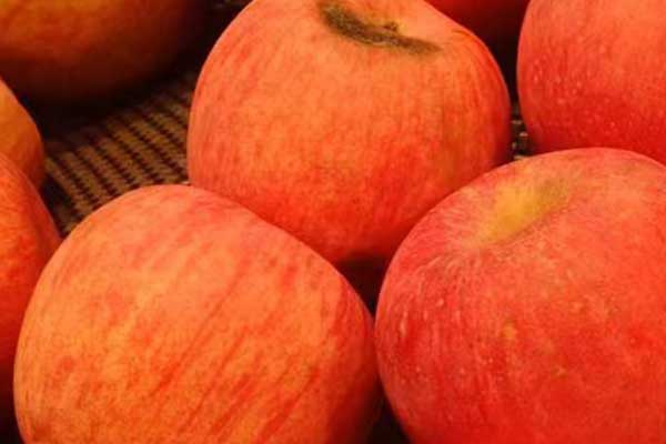 西安营养师培训费用要多少 - 培训机构哪家好？