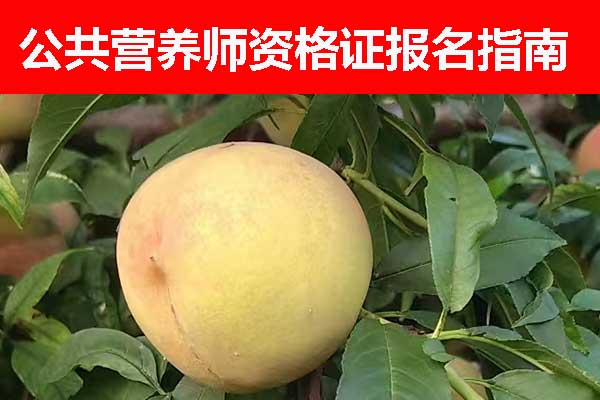 江苏公共营养师资格证报名时间 - 报名条件 - 报名入口