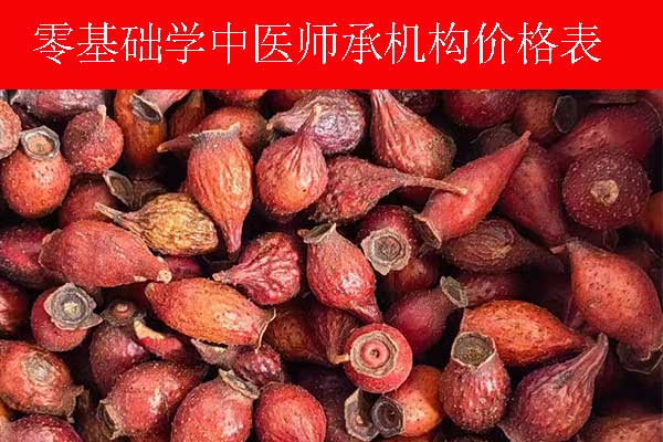 河北中医师承培训班正规机构哪家好