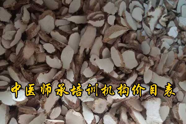 浙江中医师承培训班费用及报名条件