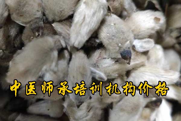 广州学中医师承哪里有正规学校