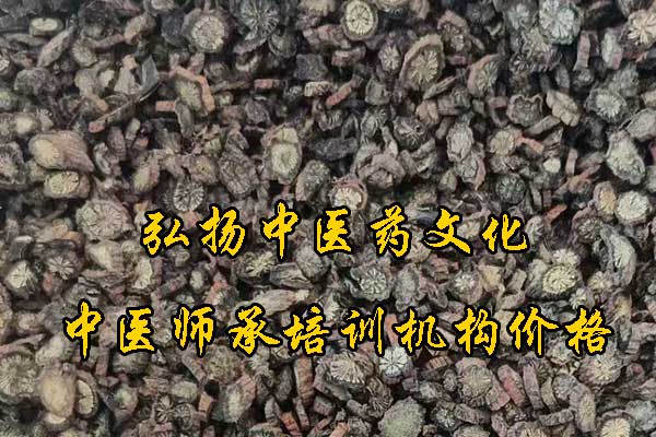 昆明学中医师承哪里有正规学校