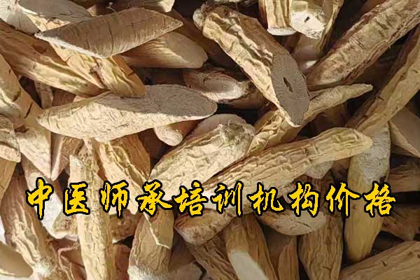 舟山学中医师承哪里有正规学校