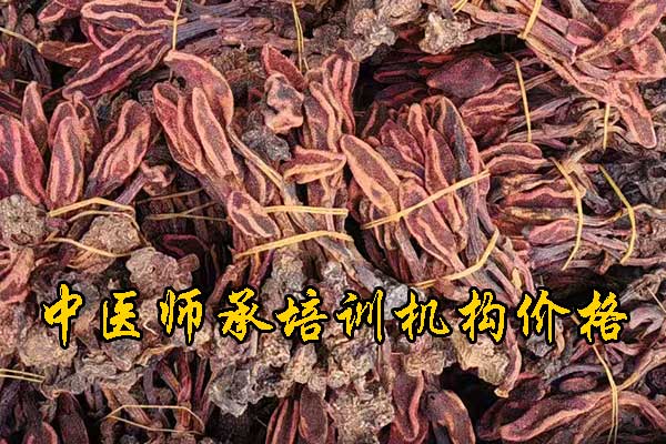 咸阳学中医师承哪里有正规学校