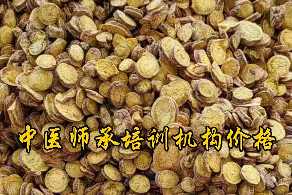 银川学中医师承哪里有正规学校