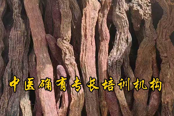 江门中医确有专长培训机构哪家正规 - 费用多少