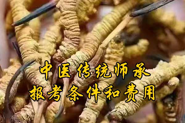 未标题-1.jpg