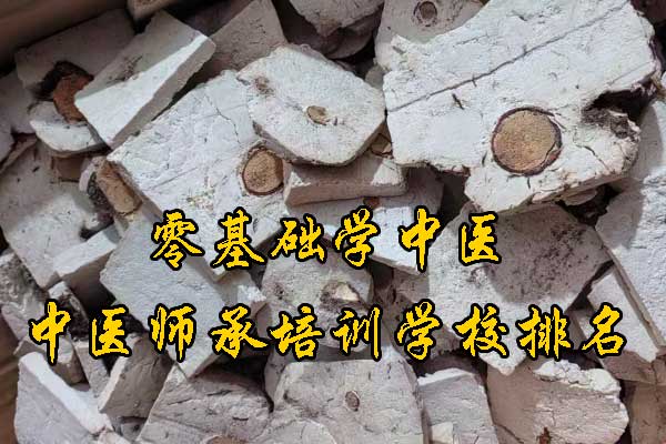 宁夏参加中医师承考试要什么条件