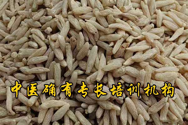 威海中医确有专长培训机构哪家正规 - 费用多少