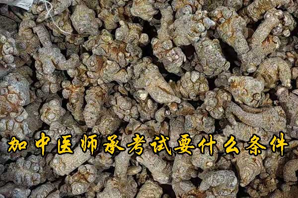 未标题-1.jpg
