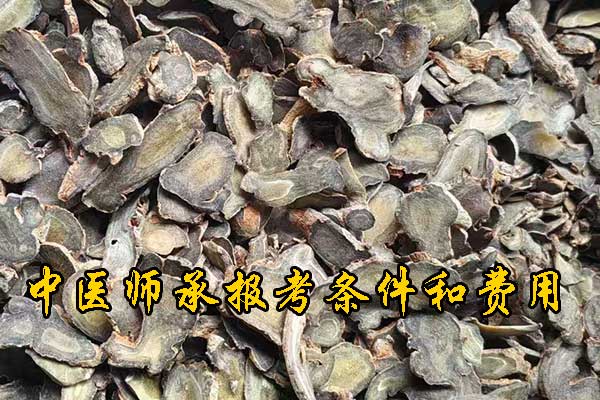 哈尔滨报考中医师承需要什么条件