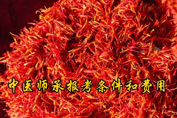 南京中医师承报名资质及老师要求