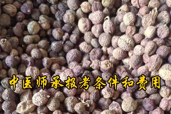 未标题-1.jpg