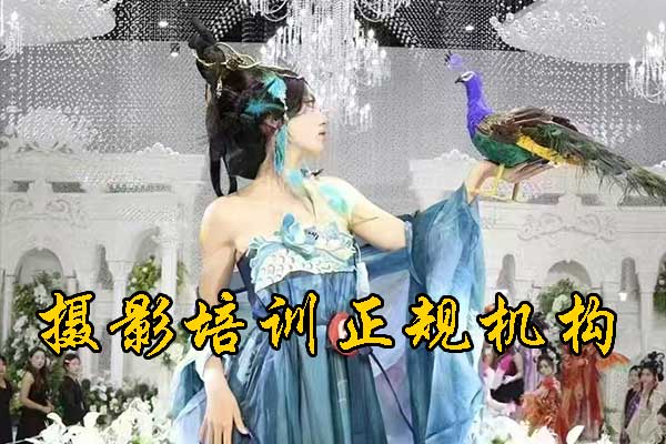 未标题-1.jpg