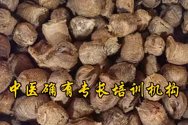 南平中医确有专长培训机构哪家正规 - 费用多少