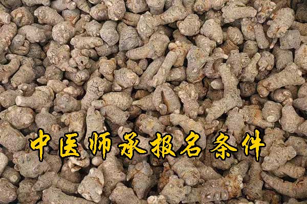 昆明中医师承报名资质及老师要求