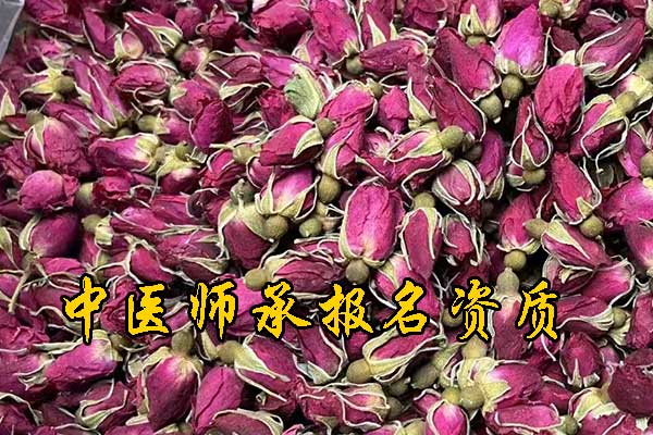 厦门中医师承报考条件和费用