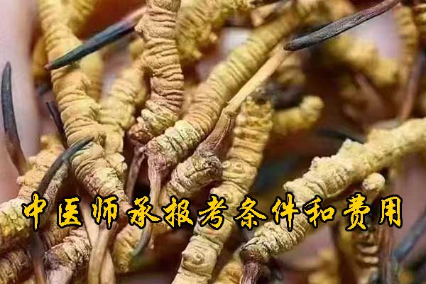 南通中医师承报名资质及老师要求