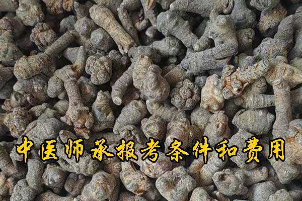 温州报考中医师承需要什么条件