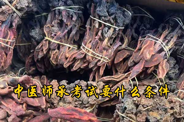 未标题-1.jpg