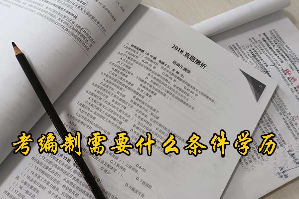 松原考编制需要什么条件和学历