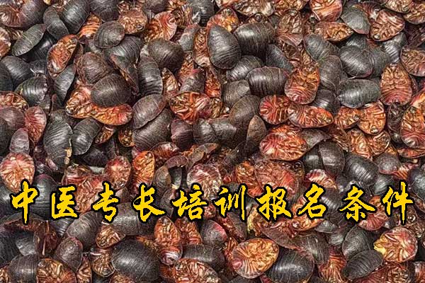 未标题-1.jpg