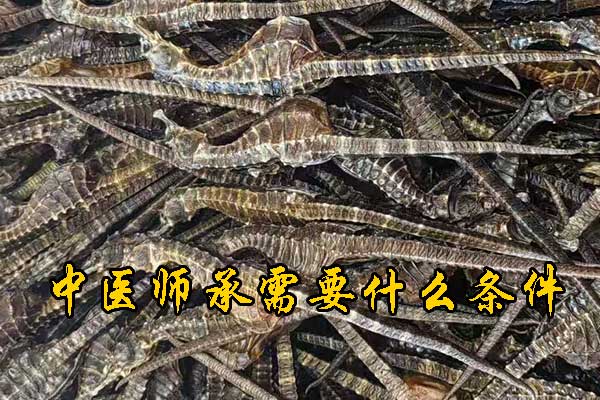 未标题-1.jpg