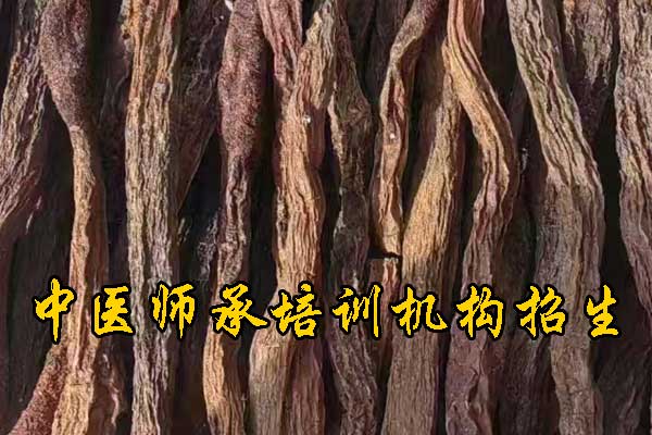 吉林成人想学中医去什么学校