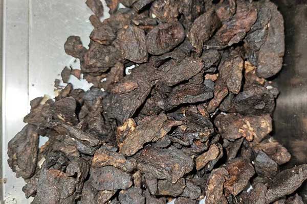 漳州中医专长证报名条件及流程