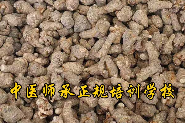 广西哪有学中医的学校