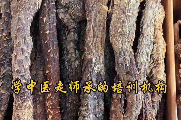 哈尔滨学中医哪里有正规学校？