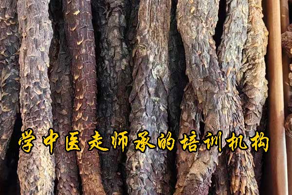 南京有没有专门学中医的学校