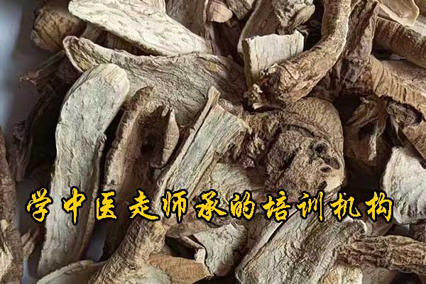 呼和浩特哪有学中医的学校