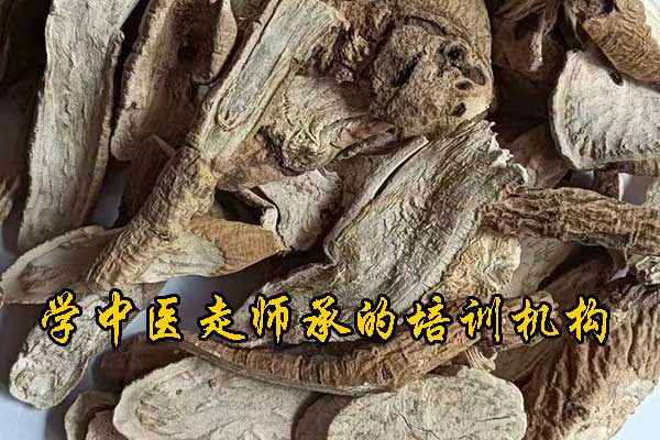 沈阳成人中医培训班哪家好