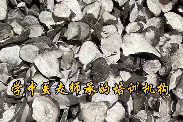 长春学中医针灸的正规学校