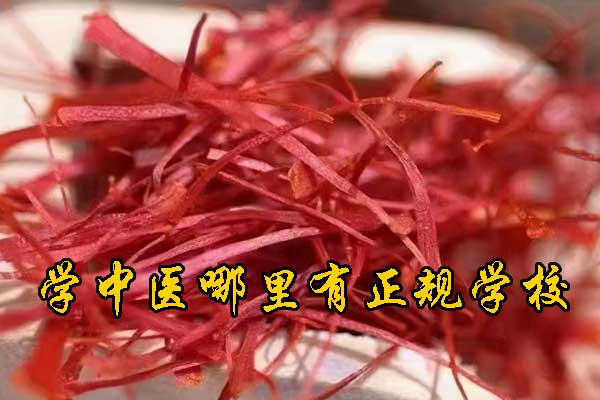 济南学中医哪里有正规学校？
