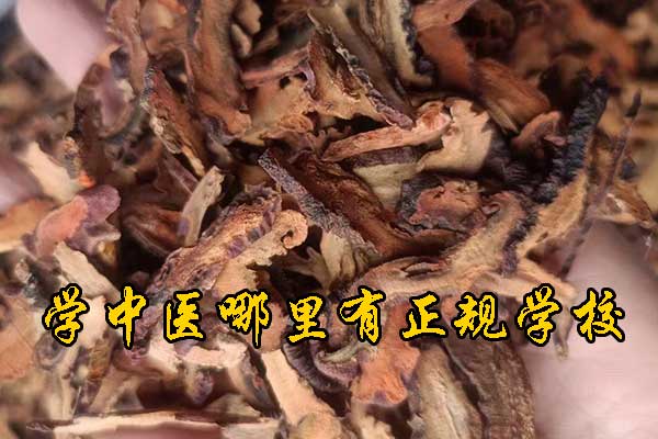 郑州有没有专门学中医的学校