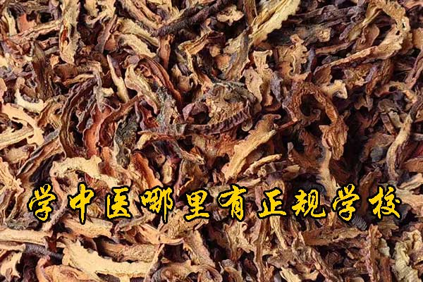 武汉成人想学中医去什么学校