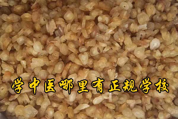 福州成人中医培训班哪家正规