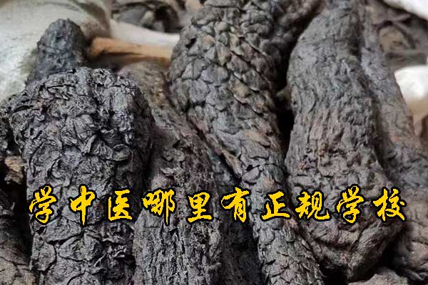 南昌学中医针灸的正规学校