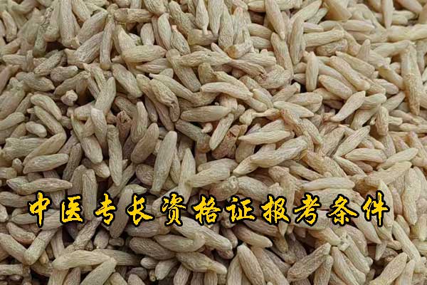 浙江中医专长资格证报考条件有哪些