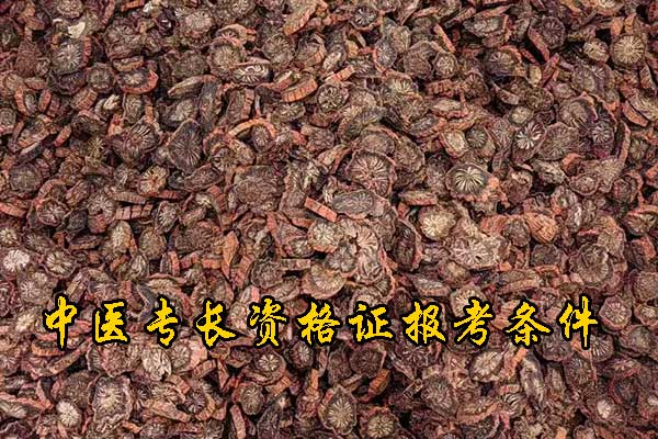 黑龙江中医专长资格证报考条件有哪些