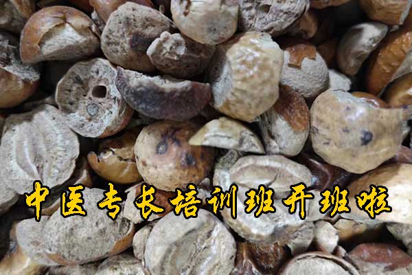 北京中医专长报名入口及网址