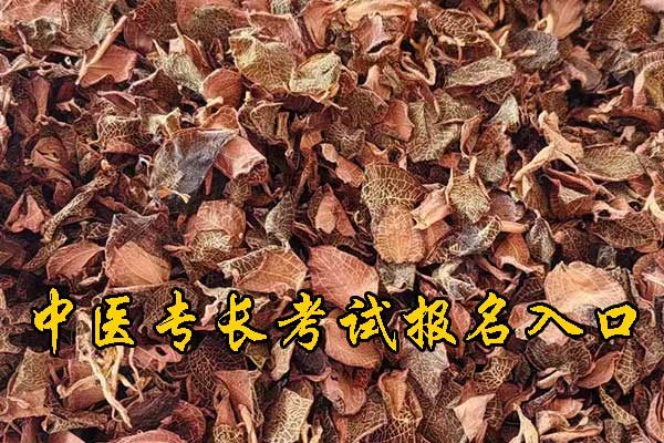 长沙中医专长医师资格证报考官网