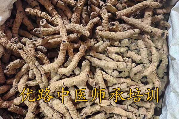 优路中医师承培训学校怎么样