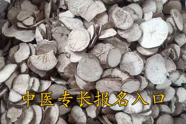 乌鲁木齐中医专长报名入口在哪里