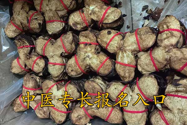 深圳中医专长报考执业医师条件